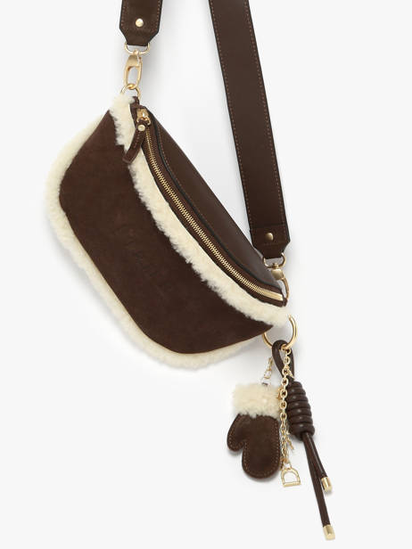 Sac Banane Etrier Marron alpin EALP022M vue secondaire 2