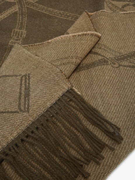 Écharpe Lauren ralph lauren Vert textile 54P04480 vue secondaire 1